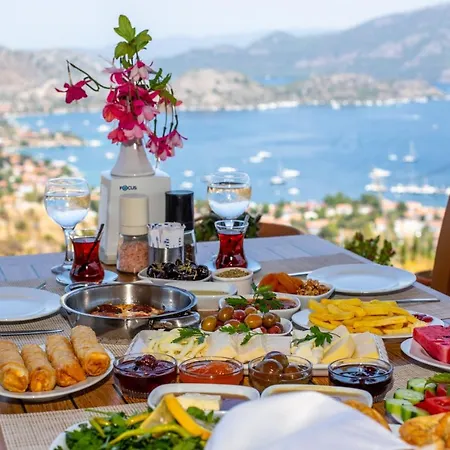 Lime Garden * 셀리미예