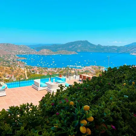 Lime Garden מלון *